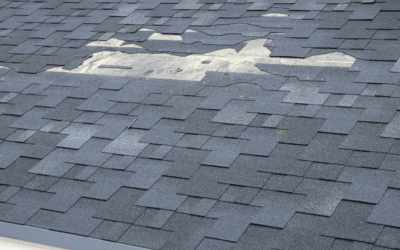 5 Common Signs of Roof Damage: A Guide for Homeowners