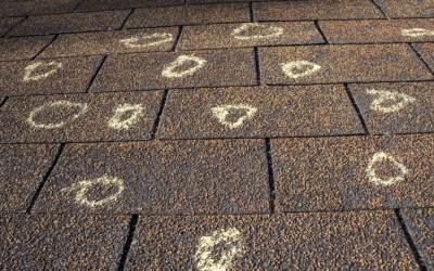 Hail Roof Damage: All the Signs and What to Do About It