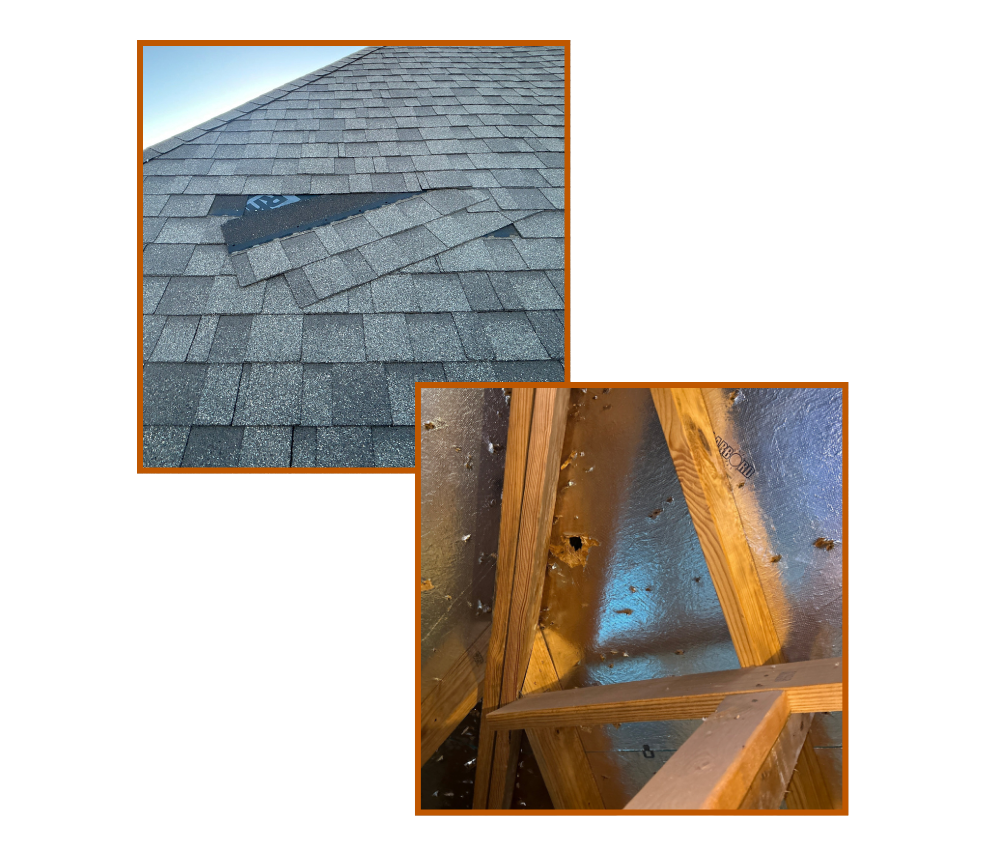 Damaged roof shingles with an exposed section in the top image; the bottom image shows water damage and holes in the attic ceiling.
