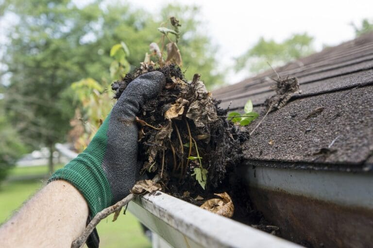 A person cleaning the gutters of a house.