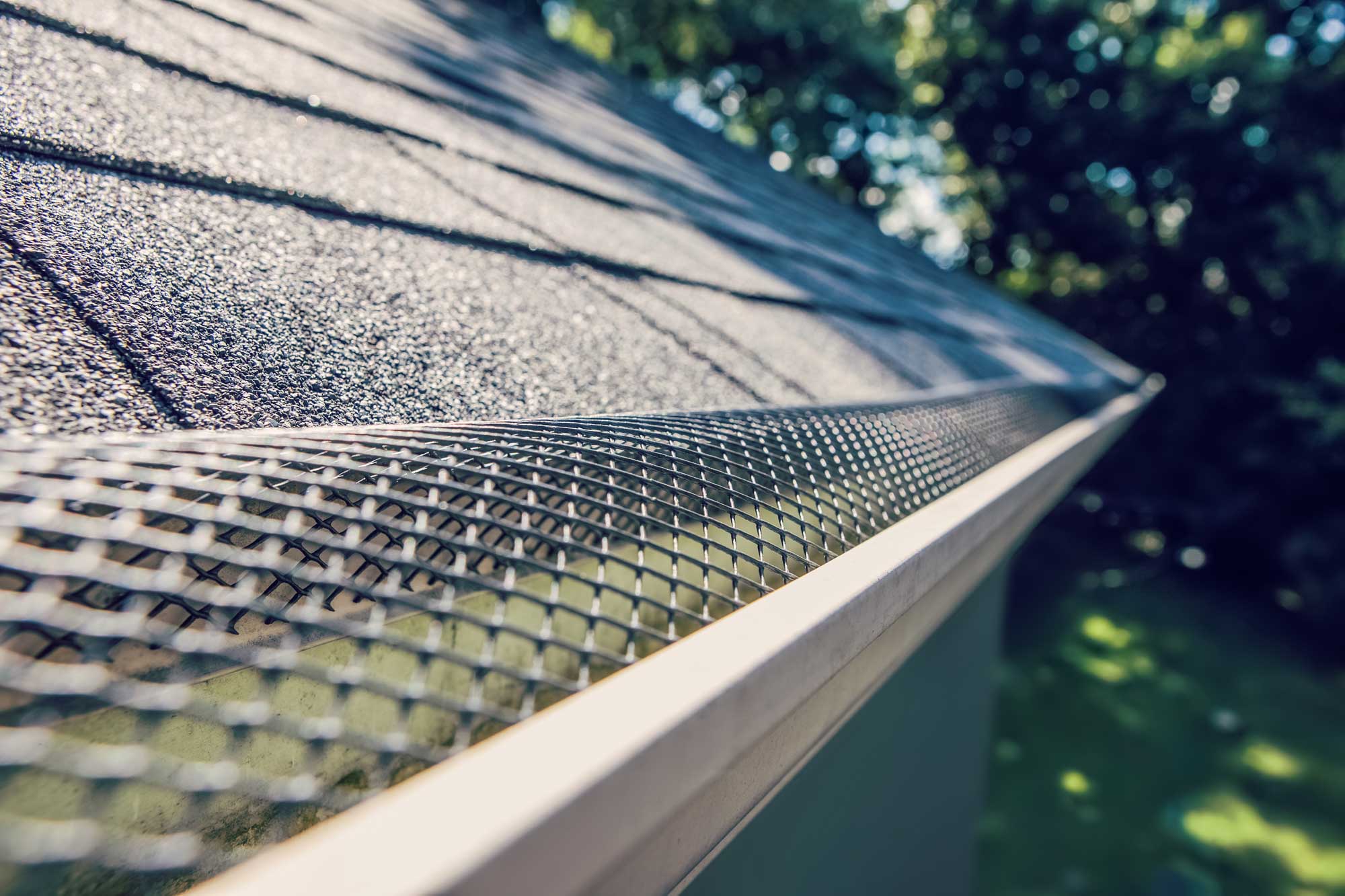 Close-up view of a sloping roof with asphalt shingles and a mesh gutter guard with trees in the background.