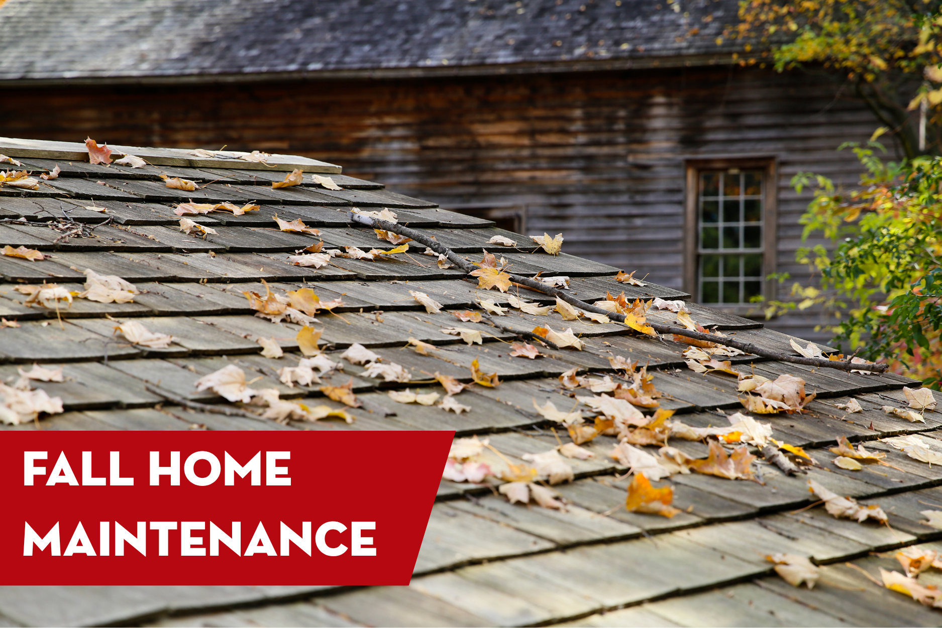 Autumn leaves scattered across a residential roof highlighting the importance of seasonal fall home maintenance and roof care